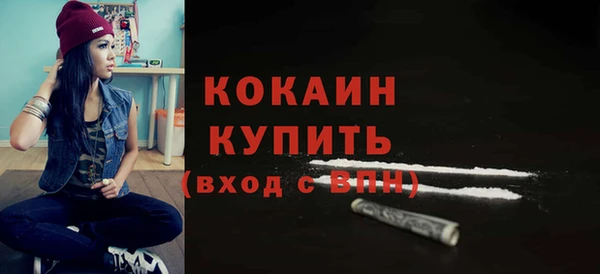 mix Ельня