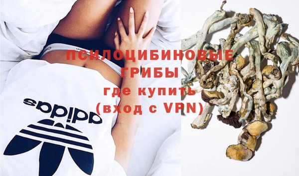 молекула духа Шадринск