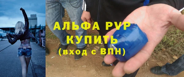 молекула духа Шадринск